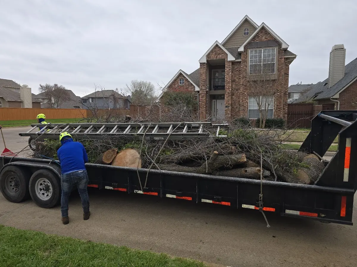 Expert Lot Clearing with proper safety equipment in Kingston